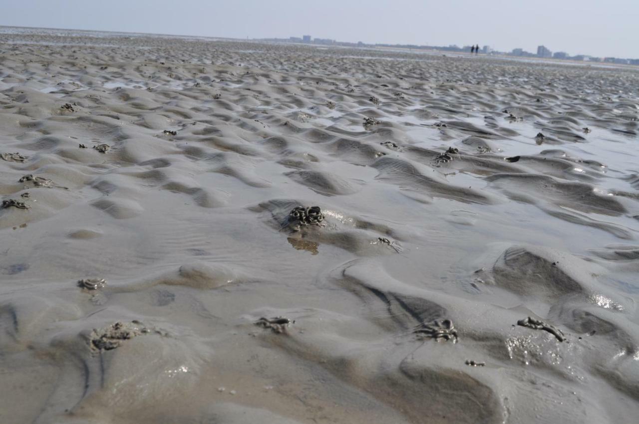 Ferienhaus Exner Hinter Dem Deich Cuxhaven Zewnętrze zdjęcie